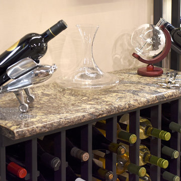 Washington Township Lower Level Remodel