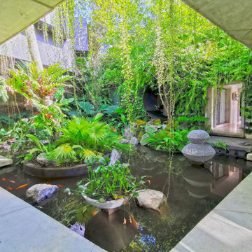 The Bolgoda House