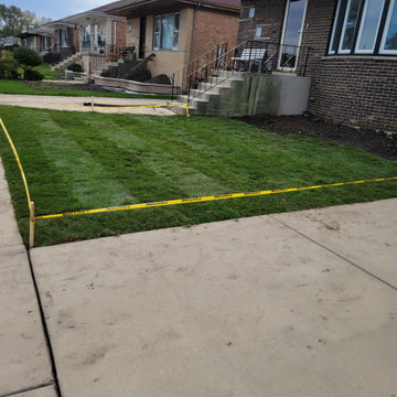 New sod in South holland Illinois