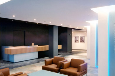 Example of a minimalist entryway design in Detroit