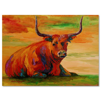 Marion Rose 'Longhorn Steer 2' Canvas Art, 24 x 18