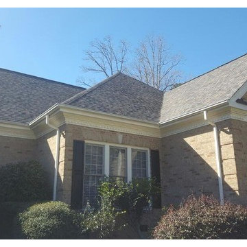 Owens Corning Duration Shingle (Summer Harvest)