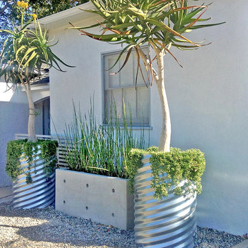 Drought Tolerant Landscape--Front Yard