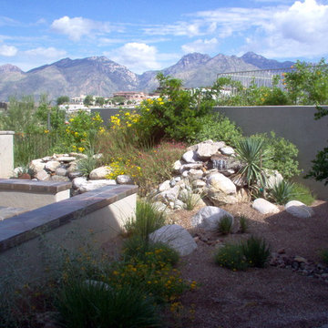 Sabino Mt