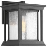 Progress Lighting - Endicott Collection 1-Light Small Wall Lantern, Black - With a Craftsman-inspired silhouette, Endicott offers visual interest to your homes exterior. The elongated frame is finished with clear seeded glass. Uses One 100 W Medium Base bulb (not included).
