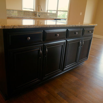 The Dunbarton Modified- White Ash Farm Community of Plainfield, IL