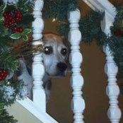 Heather Goodman's photo