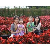 Julius Kurniawan's photo
