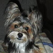 Robert Greenier's photo