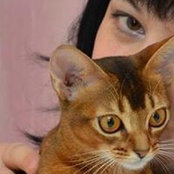 Yulia Chayka's photo