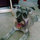 webuser_14787