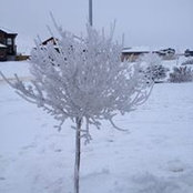 Pearl Teniuk's photo