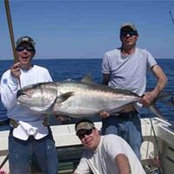 Thomas Schneider's photo
