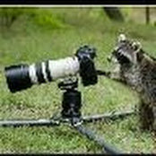 Alexander Flower's photo