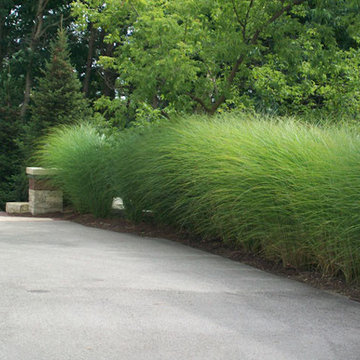 Plantings