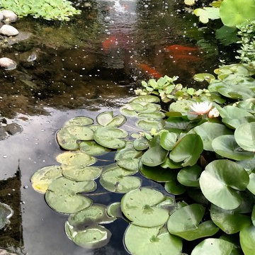 Woodbury Pond, Waterfall and Outdoor Patio Fireplace