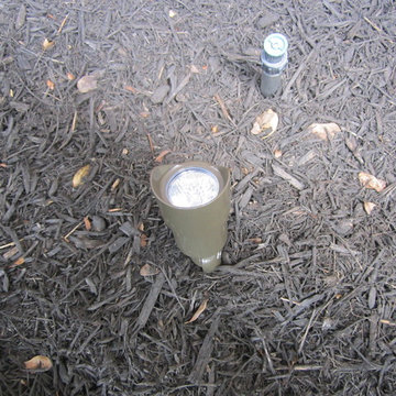 Landscape Lighting
