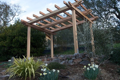 Photo of a contemporary landscaping in San Francisco.