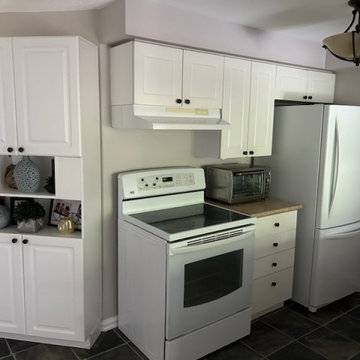 Barrie Go Staion Townhouse Kitchen transformation