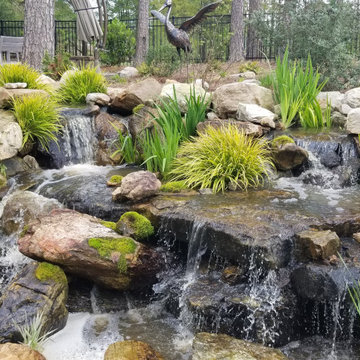 Ponds and Streams