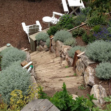 Terraces