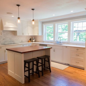 Blue Bell Kitchen Renovation