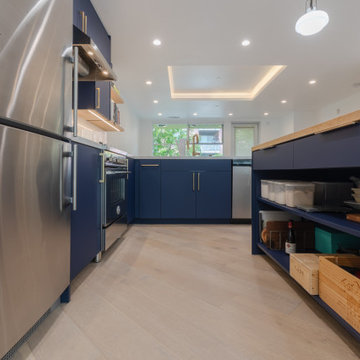 Interior remodeling- Dog -Patch apartment #2