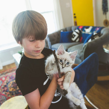My Houzz: Blood, sweat and tears into a vintage eco friend Austin home