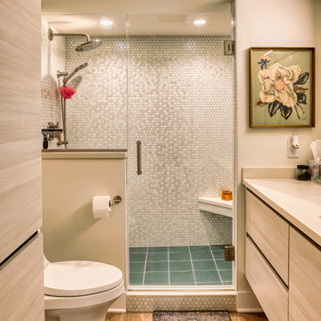 Lower Level Bathroom
