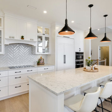 Armitage Avenue Custom Home - Kitchen