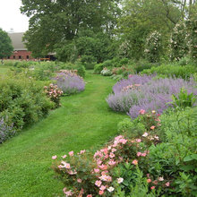 Expansive Gardens