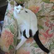 Ann Watkins's photo
