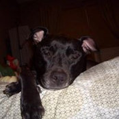 Michael Costa's photo