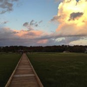 David M.Forman's photo