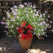 Sue Claxton's photo