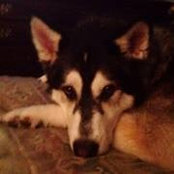Dorothy McClave's photo