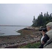 Carole Morgan's photo