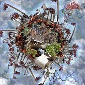 Anna Reynolds's photo
