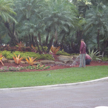 Landscape