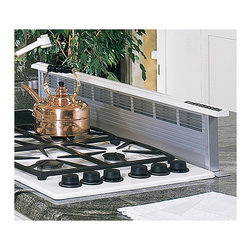 Dacor Renaissance 46" Preference Raised Vent, Stainless Steel | RV46S - Range Hoods And Vents