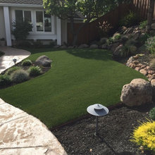 front yard