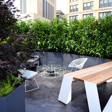 Backyards