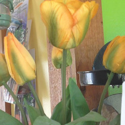 Garden Center 2014 - Products