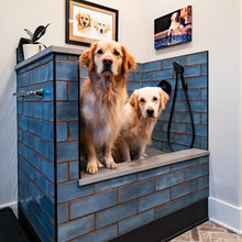 Dog bath