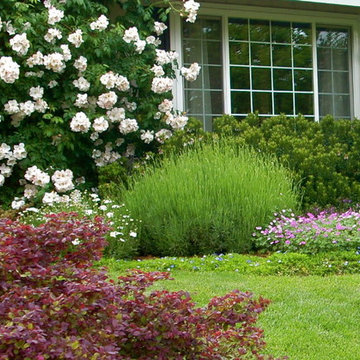 Landscape Design - Plant Design