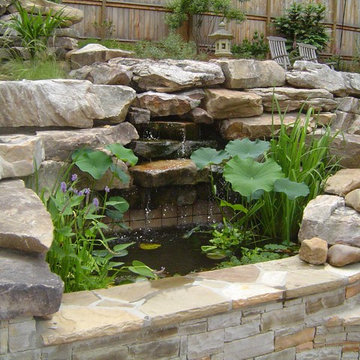 Springdale Backyard Renovation