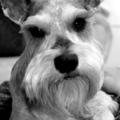 Theresa Kostrunek's photo