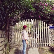 Tho Nguyễn's photo
