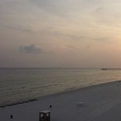 Samantha Freeman's photo