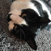 Bobbi Kightlinger's photo
